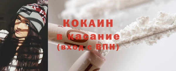 индика Алзамай