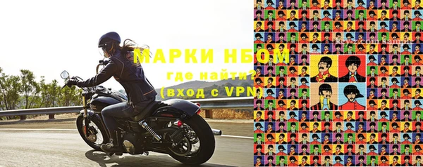 индика Алзамай