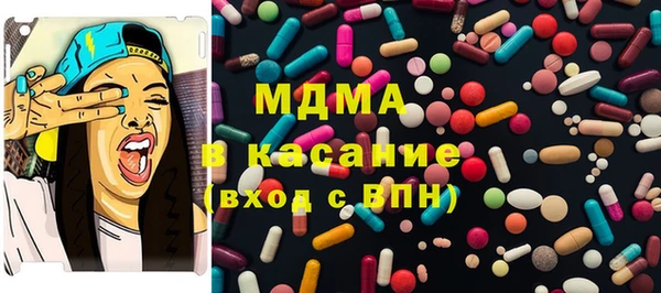 индика Алзамай