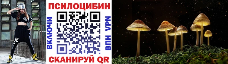 Псилоцибиновые грибы MAGIC MUSHROOMS купить наркотики сайты blacksprut как войти Малоархангельск